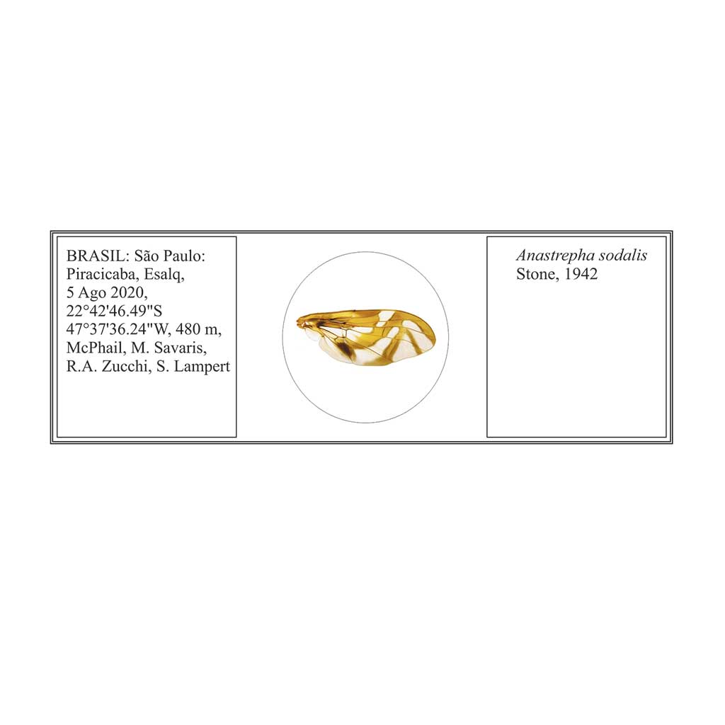 First slide